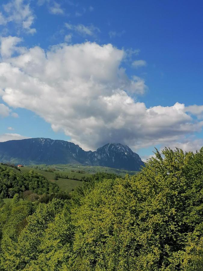 Conacul Elenei Villa Poiana Marului  Luaran gambar